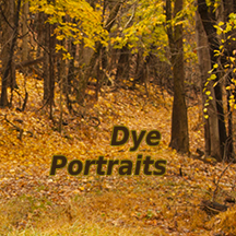 Dye Portraits